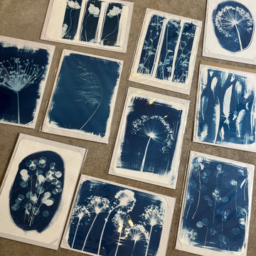 Danielle East Art - A3 Original Cyanotype Print