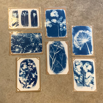 Danielle East Art - A4 Original Cyanotype Print