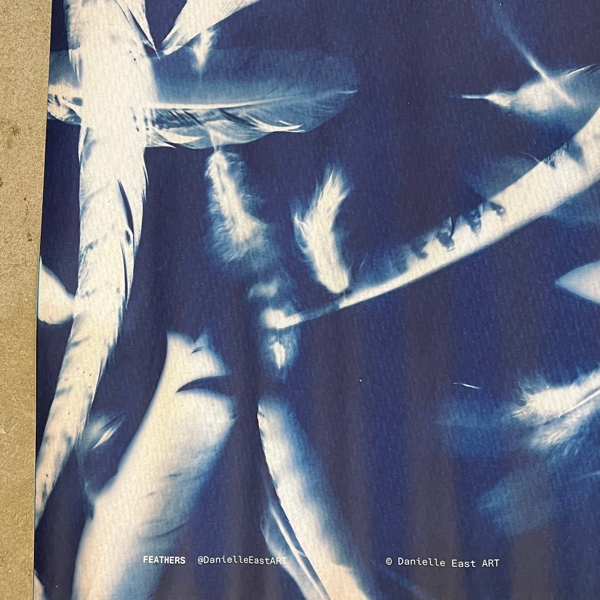 Close-up of feathers with a dark background