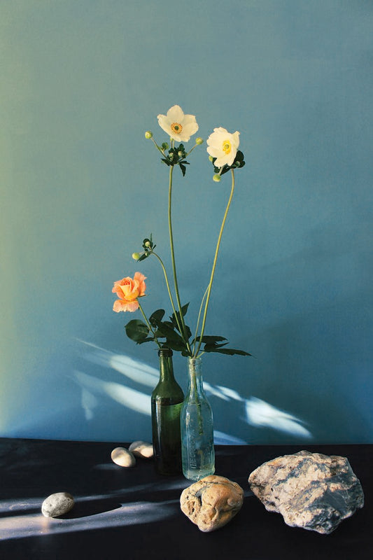 Sid  White-Jones - Still Life 1