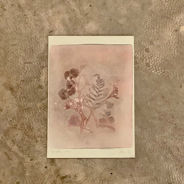 Claire Coles - Garden Finds