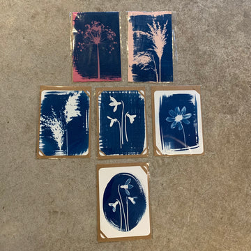 Danielle East Art - A5 Original Cyanotype Prints