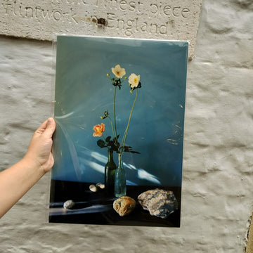 Sid  White-Jones - Still Life 1