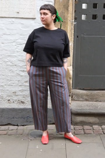Atwin The Label - The Barrel Leg Trousers In Brown And Blue Stripe