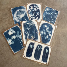 Load image into Gallery viewer, Danielle East Art - A4 Original Cyanotype Print
