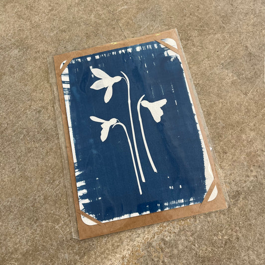 Danielle East Art - A5 Original Cyanotype Prints