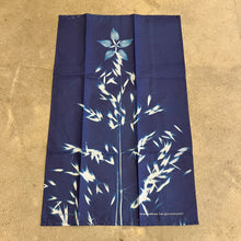 Load image into Gallery viewer, Danielle East - Cyanotype Geranium &amp; Grass Tree Tea Towel
