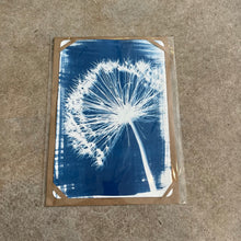 Load image into Gallery viewer, Danielle East Art - A4 Original Cyanotype Print
