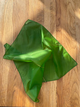 Load image into Gallery viewer, Nabila Molinero - 100% Silk Scarf In Green
