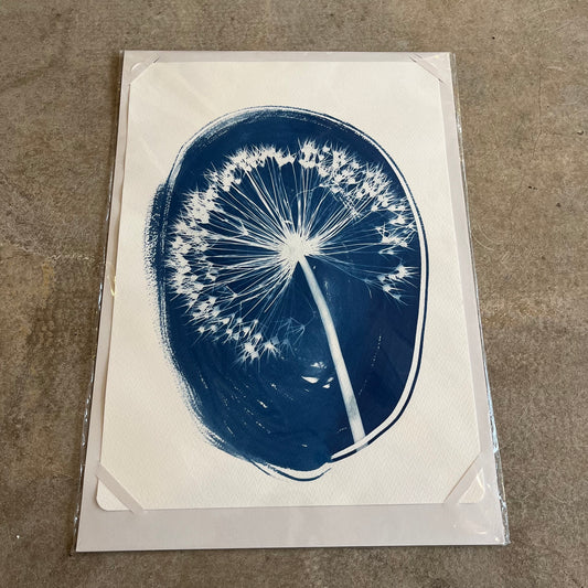 Danielle East Art - A3 Original Cyanotype Print