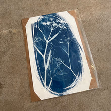 Load image into Gallery viewer, Danielle East Art - A4 Original Cyanotype Print
