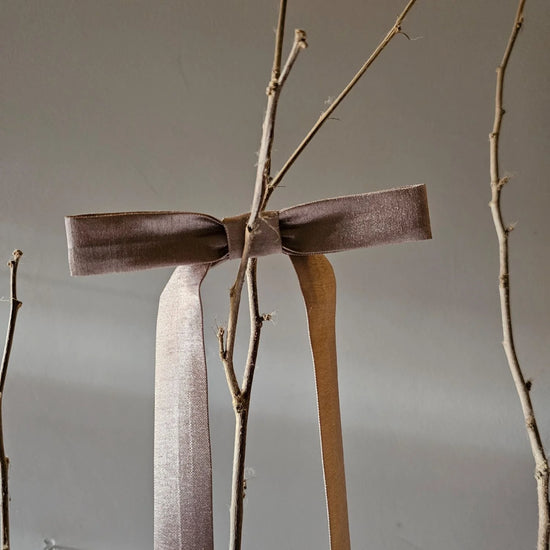 Bare branches with a brown ribbon tied around them against a neutral background