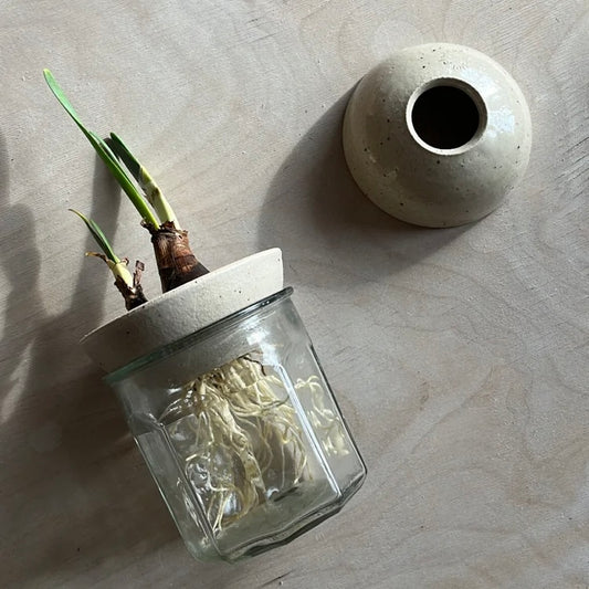 Eleanor Torbati - Stoneware Bulb / House Plant Propagator