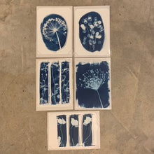 Load image into Gallery viewer, Danielle East Art - A3 Original Cyanotype Print
