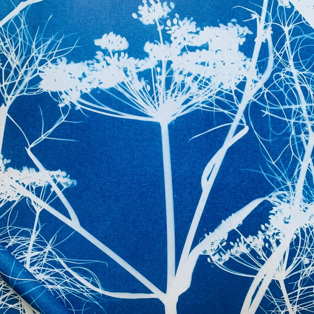 White floral and branch pattern on a blue textured background