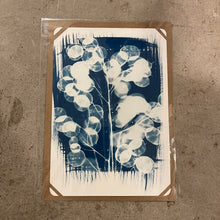 Load image into Gallery viewer, Danielle East Art - A4 Original Cyanotype Print
