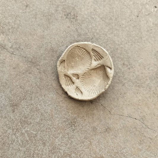 shell ceramic trinket dish on concrete surface