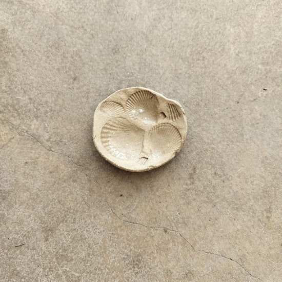 Single shell ceramic dish on a textured beige surface