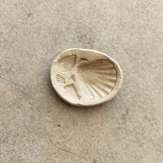 Seashell trinket dish on a sandy surface