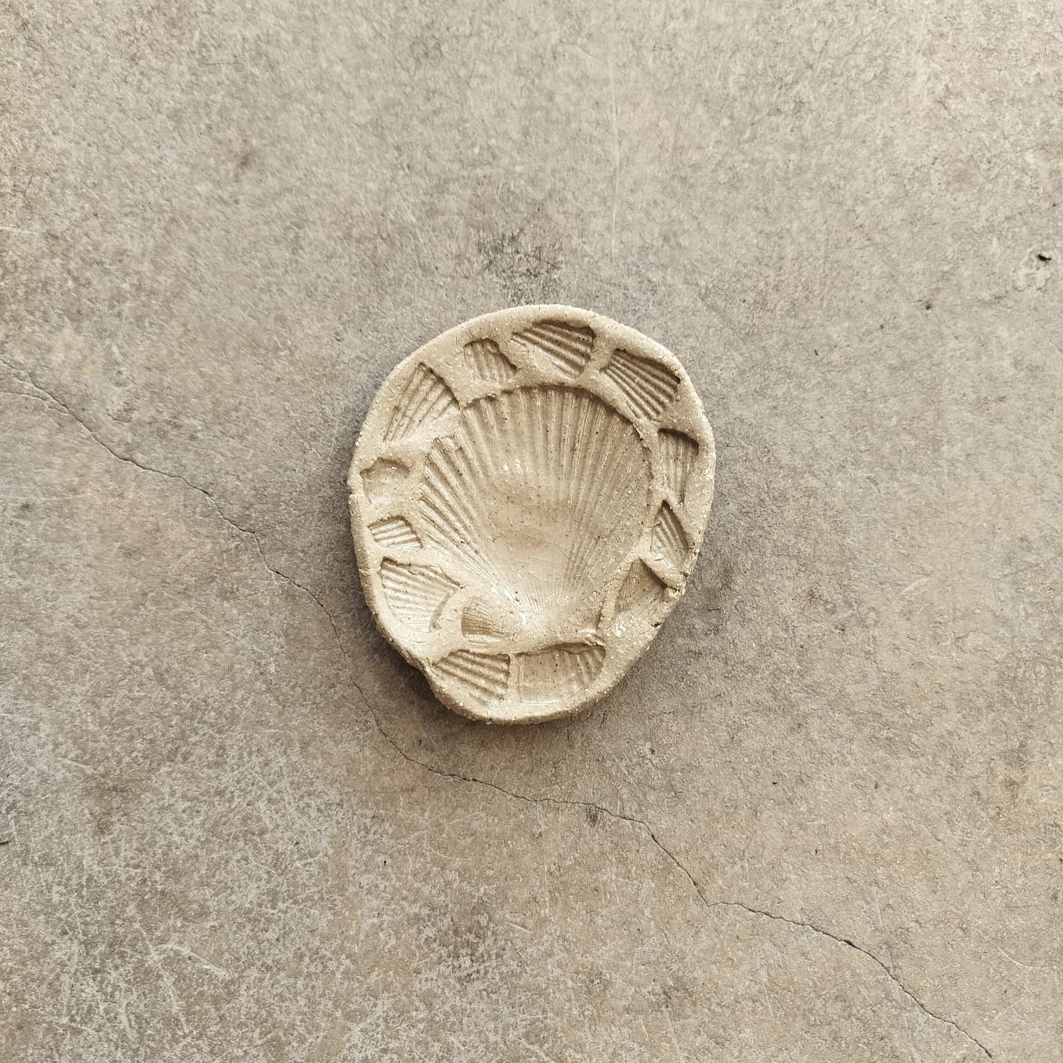 Clay mold of a shell on a textured surface