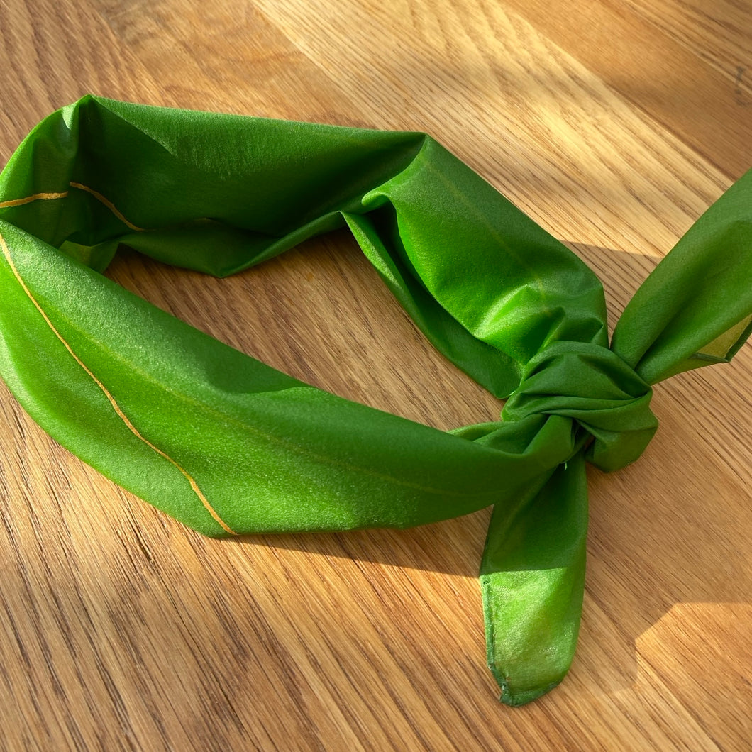 Nabila Molinero - 100% Silk Scarf In Green