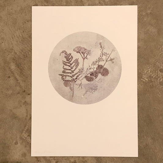 Claire Coles - Frozen Florals