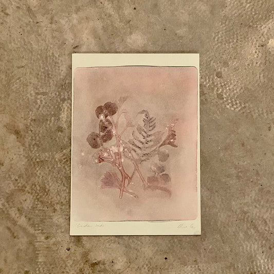 Claire Coles - Garden Finds