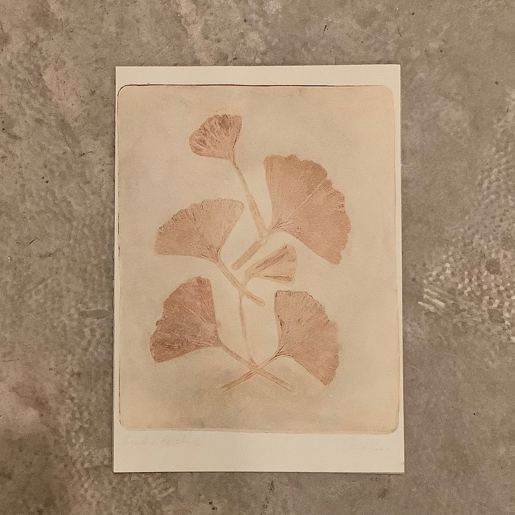 Claire Coles - Ginkgo Fossils 2