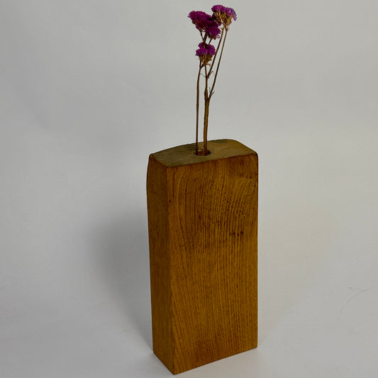 Wooden block with a small plant on a plain background