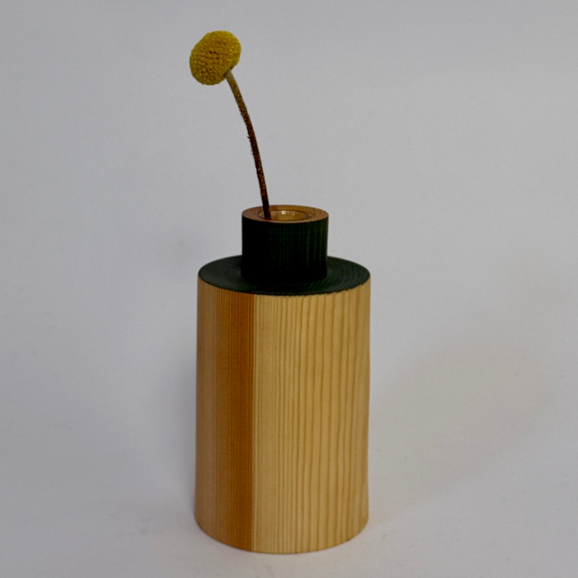 Cylindrical wooden vase with green top holding a single green flower on a white background