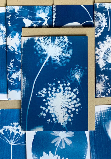 Danielle East - Umbellifers Cyanotype Greetings Card
