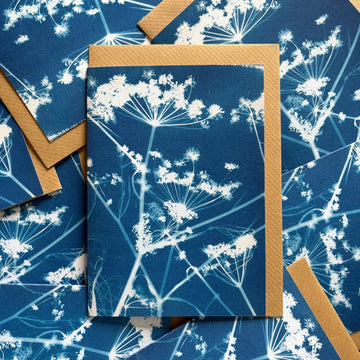 Danielle East - Fennel Cyanotype Greetings Card