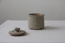 Load image into Gallery viewer, Lily Pearmain - Fleck Jar Small
