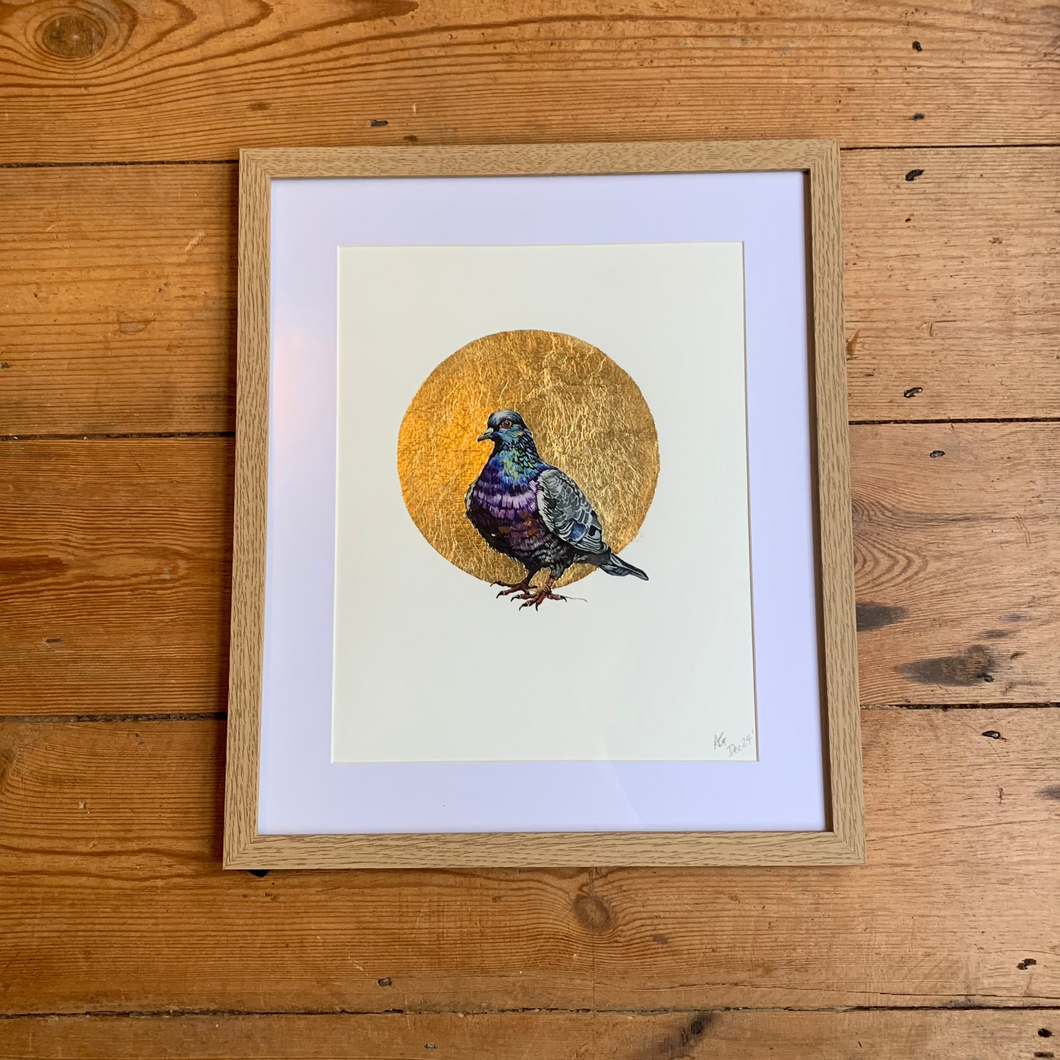 Aimee Gallagher - Pigeon Gilded Glicee Print