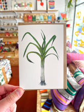 Load image into Gallery viewer, Lottie Day - Vegetable Greeting Cards
