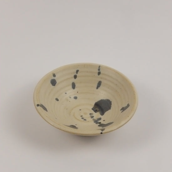 Ceramic plate with speckled design on a plain background