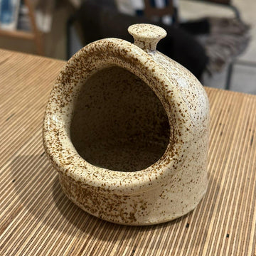 A speckled saltpig on a wooden surface 