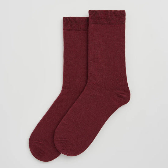 Pair of plum coloured socks on a light grey background