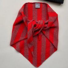 Load image into Gallery viewer, Pink and red striped scarf on a white background 
