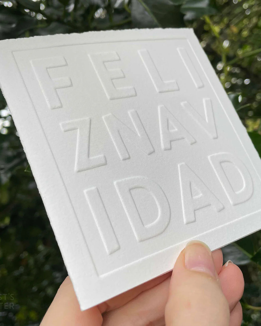 White card with embossed text 'Feliz Navidad' held against a green leafy background