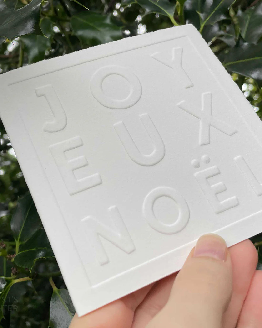 White Christmas card with 'JOYEUX NOEL' embossed text held against a green leafy background