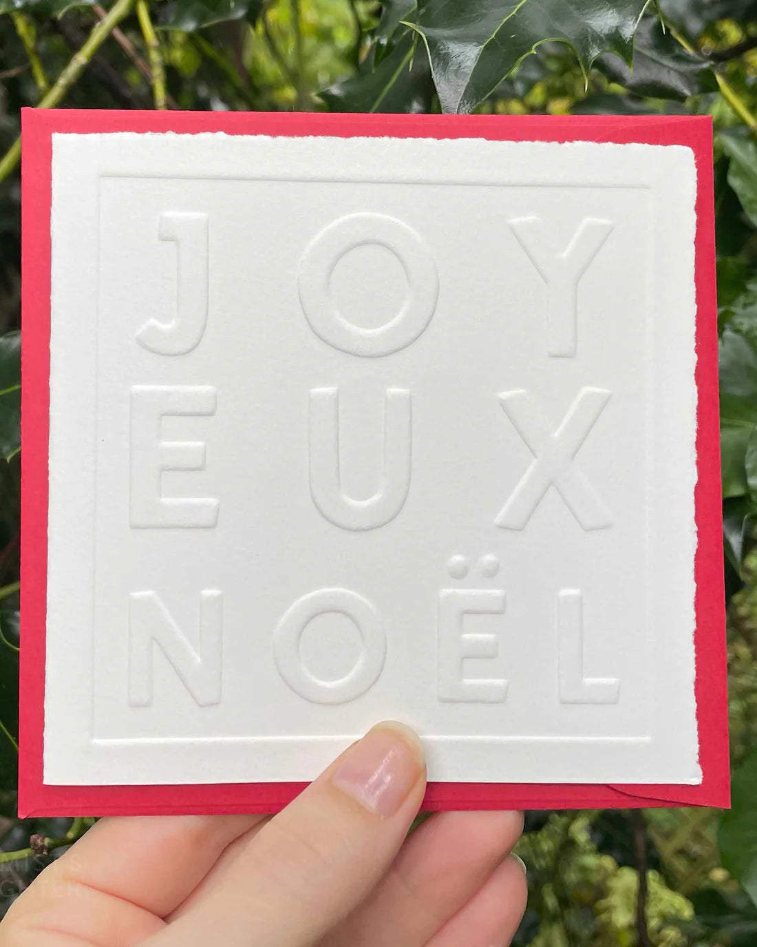 Card with 'JOYEUX NOEL' text held against a green leafy background