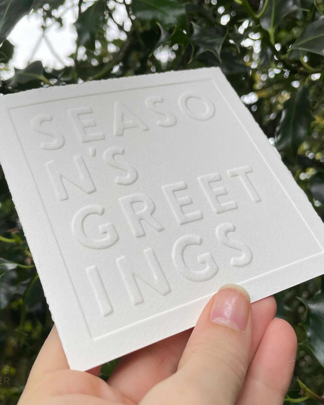 White card with 'Season's Greetings' text held in front of green foliage