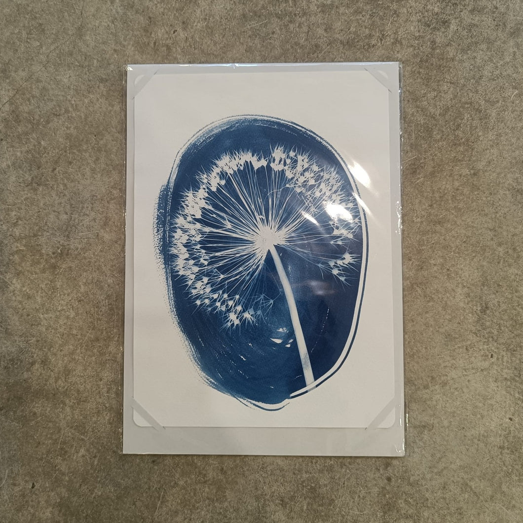 Danielle East Art - Allium Oval Cyanotype Original Print A3
