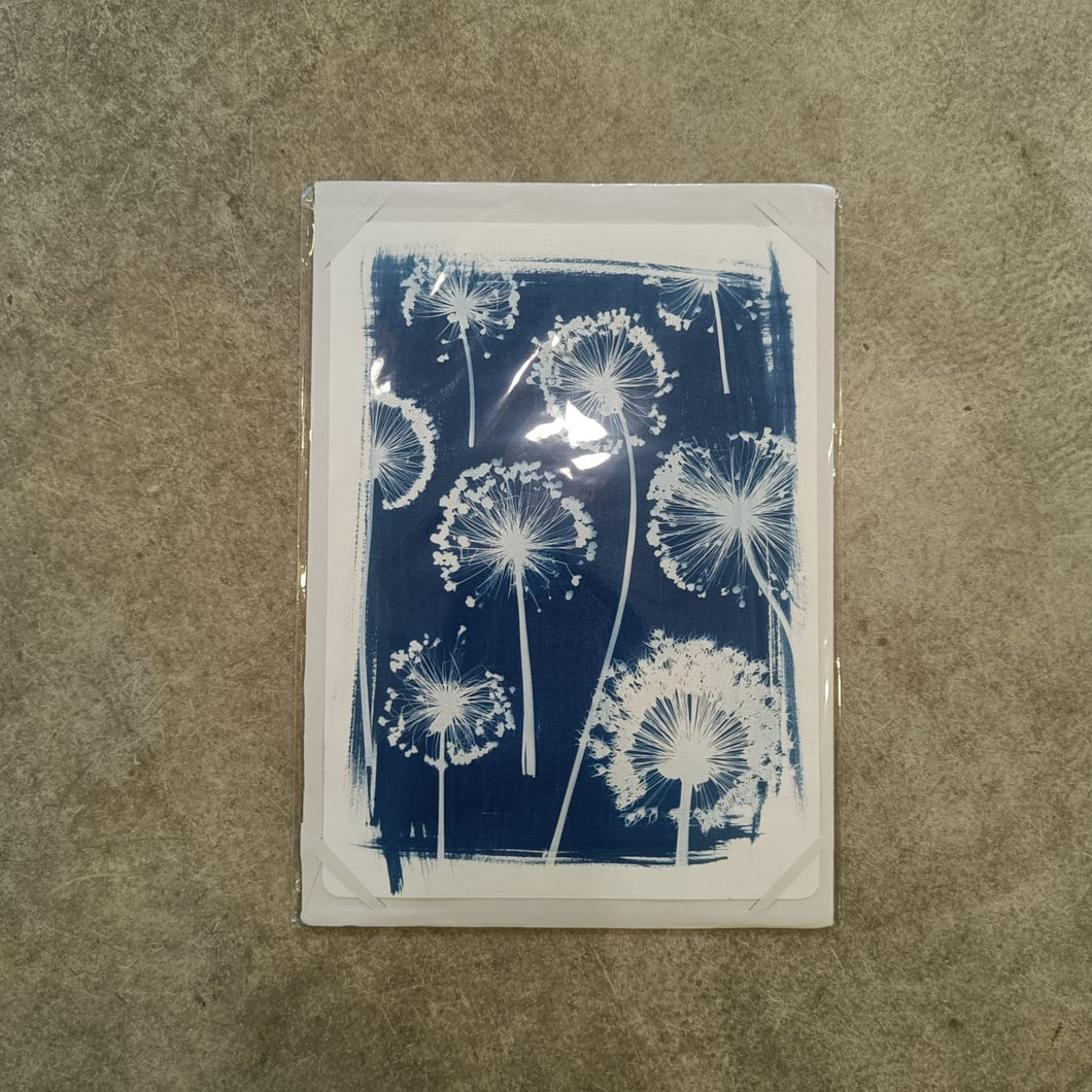 Danielle East Art - Allium Wallpaper Cyanotype Original Print A3