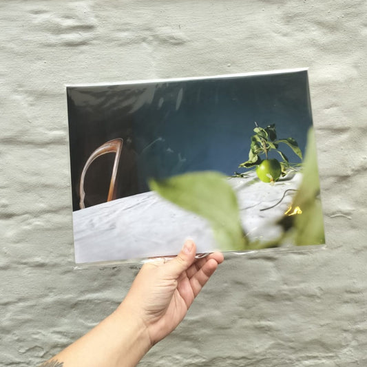 Sid White-Jones - Still Life 4