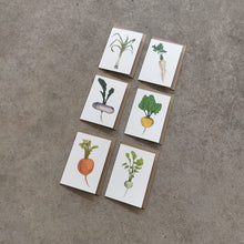 Load image into Gallery viewer, Lottie Day - Vegetable Greeting Cards
