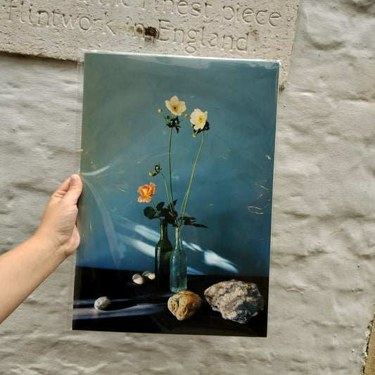 Sid  White-Jones - Still Life 1