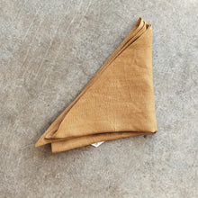 Load image into Gallery viewer, Clement House - Linen Neck Tie
