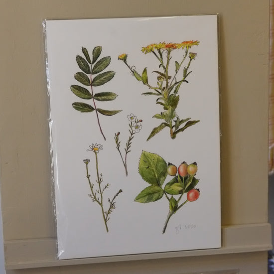 illustration with botanical design featuring leaves and flowers on a beige background